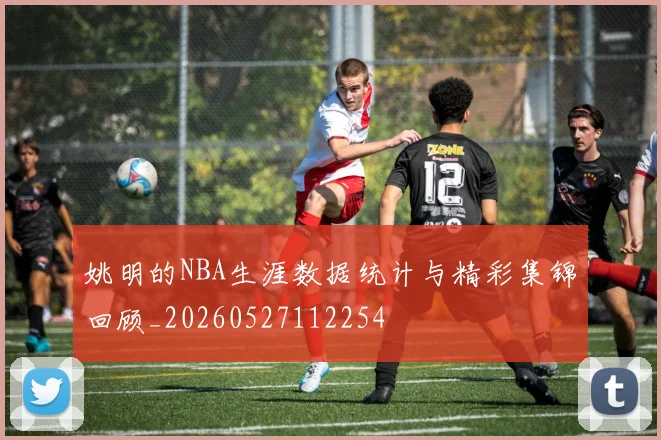 姚明的NBA生涯数据统计与精彩集锦回顾_20260527112254
