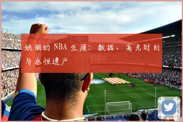 姚明的 NBA 生涯：数据、高光时刻与永恒遗产